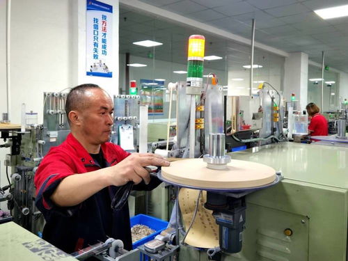 南充制造業新圖景 南部縣以“鏈式”路徑擘畫產業發展藍圖，工業自動化設備銷售與售后服務并進